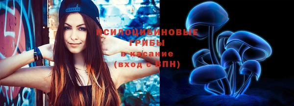 хмурый Алексин