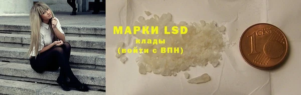 мяу мяу мука Абаза