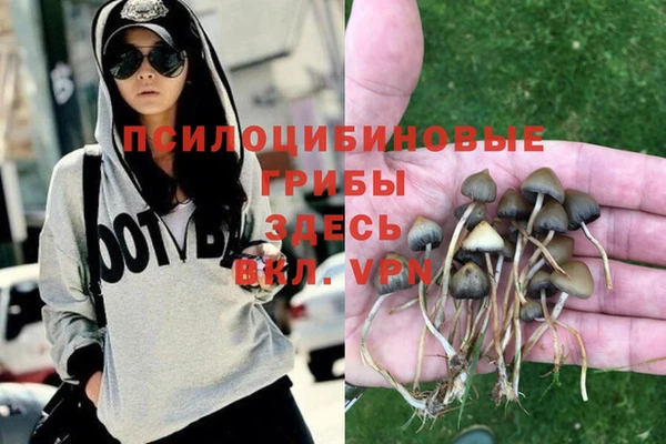 бошки Алзамай