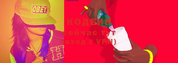 хмурый Алексин