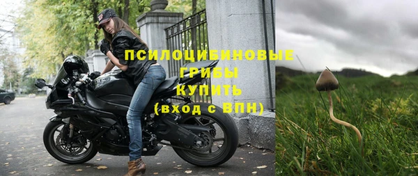 хмурый Алексин