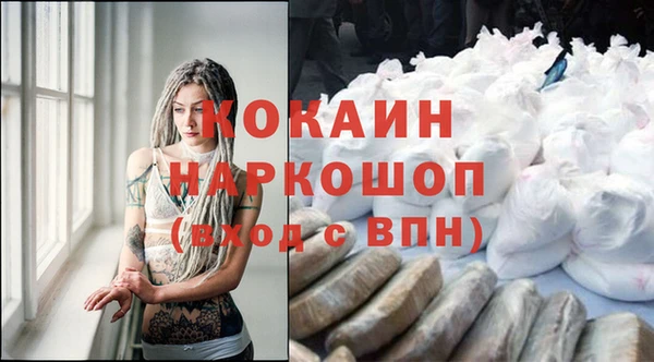 хмурый Алексин