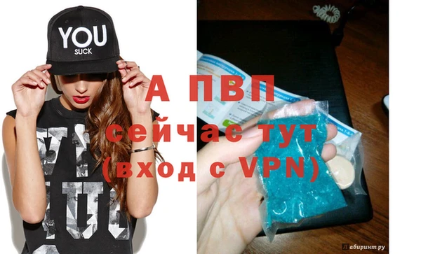 мяу мяу мука Абаза