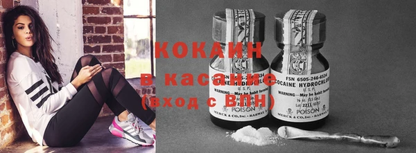 мяу мяу мука Абаза